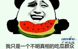 网络吃瓜是意思,揭秘虚拟世界的围观文化